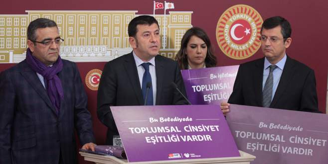 CHP’den ‘Mor Bayrak’ projesi