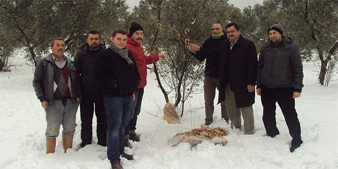 Karda hayvanlar unutulmadı