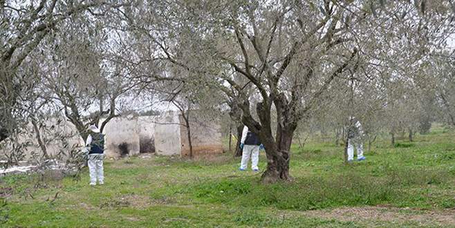 Bir kadın katliamı daha!