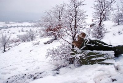 Dört şehitten geriye bunlar kaldı