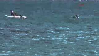 Deniz ortasında kabus dolu 1,5 saat