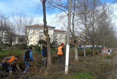 Parklarda bahar temizliği
