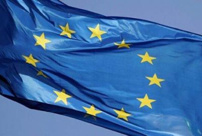 AB’den silah bırakma çağrısına destek