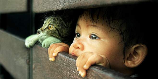 Hayvandan bulaşan 6 hastalık