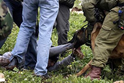 İsrailli askerlerden köpekli işkence