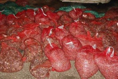 Kaçakçıların yeni gözdesi!