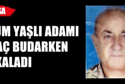 Ağaç budarken birden yere yığıldı