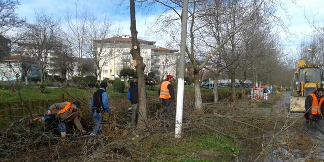 Parklarda bahar temizliği