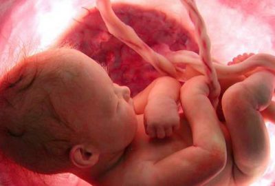 Bu araştırma çok tartışılır