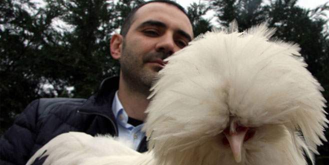 İngiltere’nin gözdesi Bursa’dan Osmanlı Sultan Tavuğu