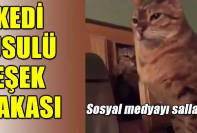 Kedi usulü eşek şakası