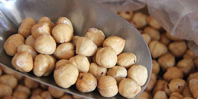 İhracatçıda Gürcü fındığı tedirginliği