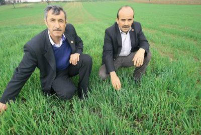 Yenişehirli çiftçide  umutlu bekleyiş