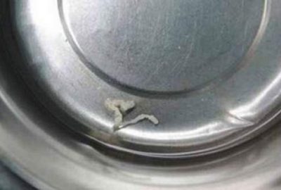 Canlı kurbağa yedi, bakın ne oldu?