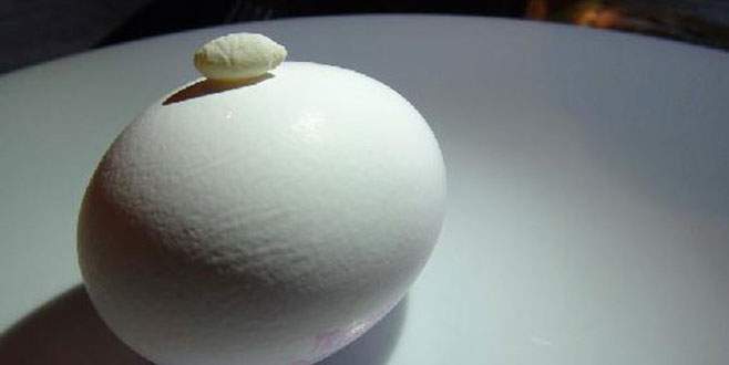Yumurtanın içinden bakın ne çıktı!
