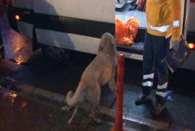 Bakırköy’de 4 katlı bir binanın birinci katında belirlenemeyen bir nedenden