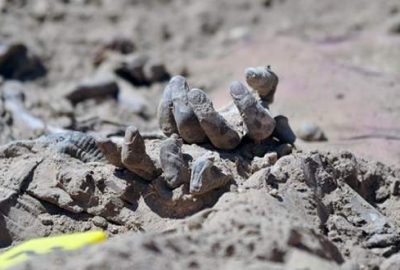 Toplu mezardan 1700 asker çıktı!