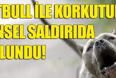 Balıkesir’in Ayvalık ilçesinde, pitbull cinsi köpeğiyle korkuttuğu kız arkadaşına cinsel