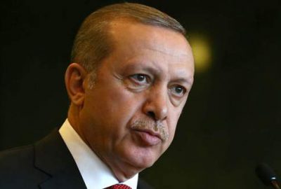 Cumhurbaşkanı Recep Tayyip Erdoğan, Nükleer Güç Santralleri ile ilgili kanunu