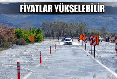 Aydın'da, Büyük Menderes Nehri'nin Turanlar Mahallesi'nde bir bölümü ekili binlerce