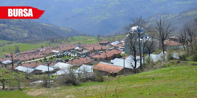 Bursa’da heyelan bir köyü yok ediyor