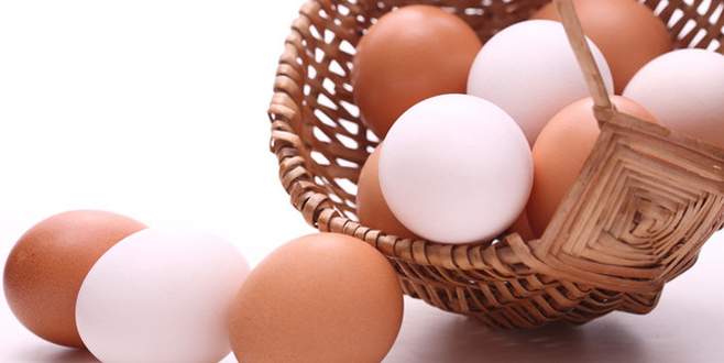 Yumurta kabuğu gıdayı koruyacak