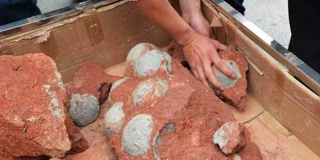 Onlarca dinozor yumurtası bulundu