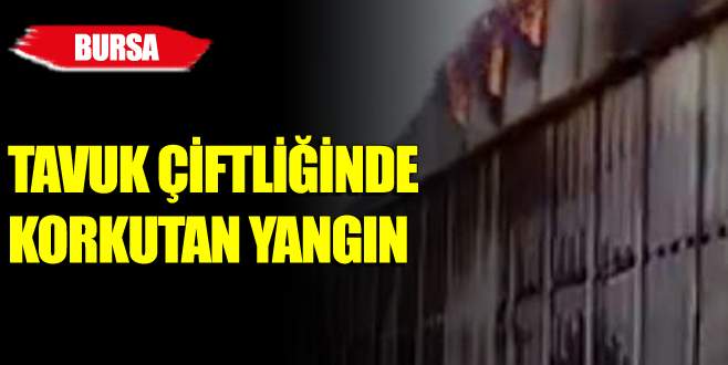 Bursa’da korkutan yangın