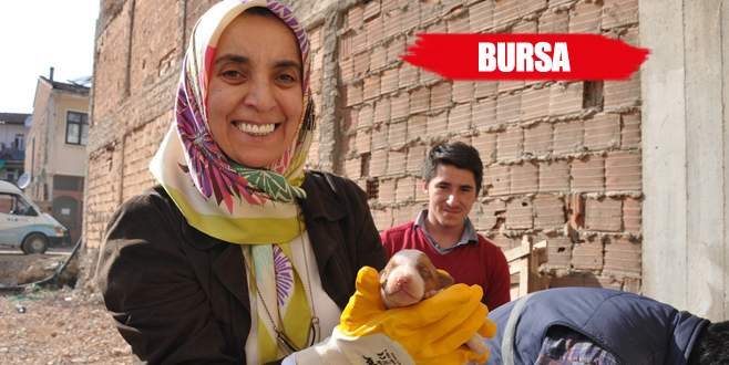 Köpekten analık dersi