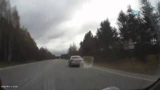 Otomobil dev geyiğe böyle çarptı