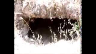 Bodrum’da inşaat alanında kaya mezarları bulundu