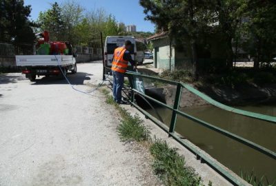 Odunpazarı Belediyesi Kırsal Hizmetler Müdürlüğü, havaların ısınmasıyla birlikte larvaların üreme