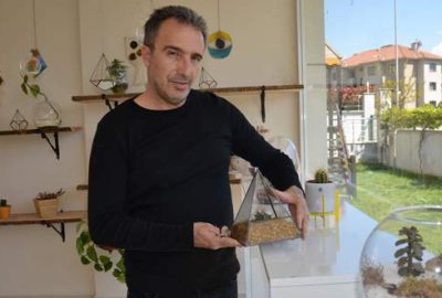 Hayaller, meslekler teraryumlarda