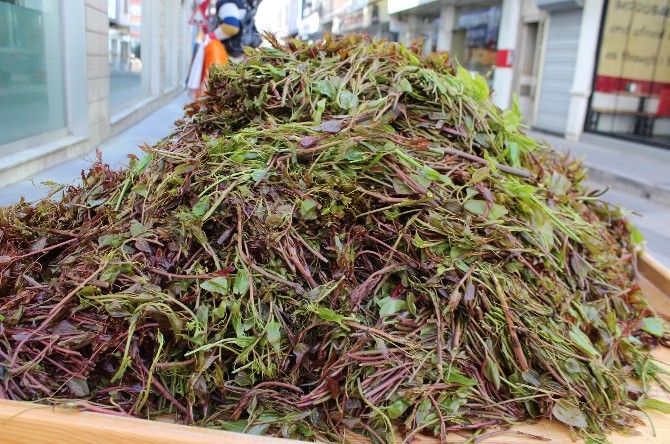 Diken Ucundan Tezgaha