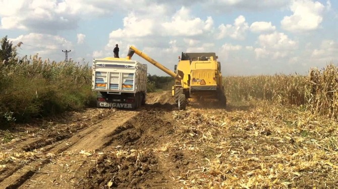 Söke Ovası’nda 2015 Yılı Biçim Ücretleri Belli Oldu