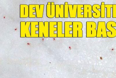 Üniversitede kırmızı kene baskını