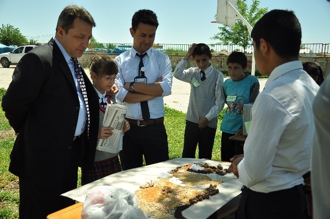 İdil Camili Ortaokulu’nda TÜBİTAK 4006 Bilim Fuarı Açıldı