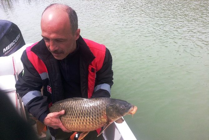 Samsun’da göllerde kaçak avcılık yapan şahısların misinalarına el konuldu ve