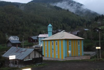Kastamonu’da Kuş Gribi