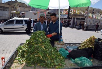 Şifalı Otlar Geçim Kaynakları Oldu