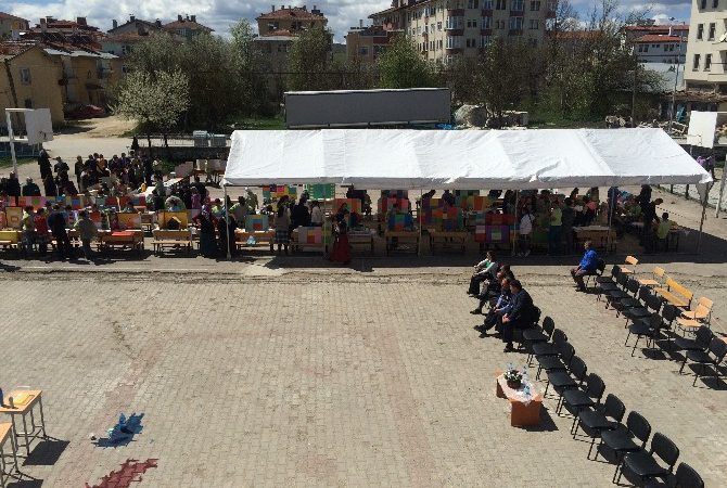 Seydiler ’de Türkiye Bilimsel ve Teknoloji Araştırma Kurumu Destekli (TÜBİTAK)
