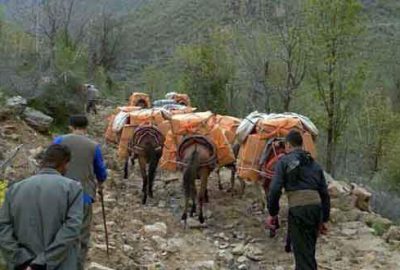 Terör örgütüne 1,2 milyarlık darbe