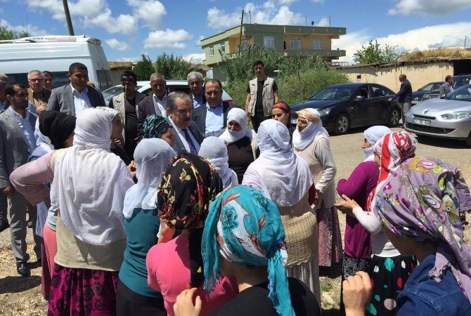 AK Parti Diyarbakır Milletvekili adayı ve Devlet eski Bakanı Salim