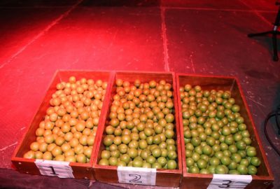 25. Geleneksel Umurlu Erik Festivali Suavi İle Son Buldu