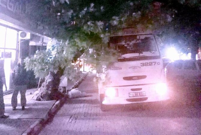 Balıkesir’in Erdek ilçesinde çınar ağacını fark etmeyen dikkatsiz kamyon sürücüsü,