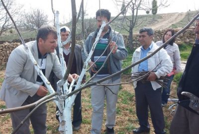 Beyşehir’de Meyve Yetiştiricilerine ‘Kara Leke’ Uyarısı