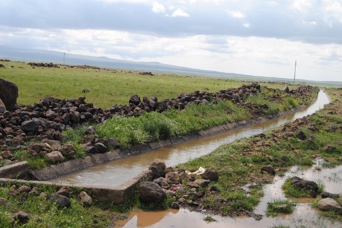 Karacadağ Bölge Çiftçisinin Yüzü Güldü