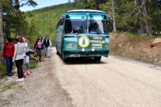 “Çatacık Ormanları Doğa Yürüyüşü” Etkinliği