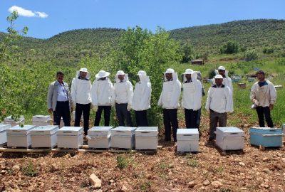 Savur’da Arıcılık Projesi Hayata Geçirildi
