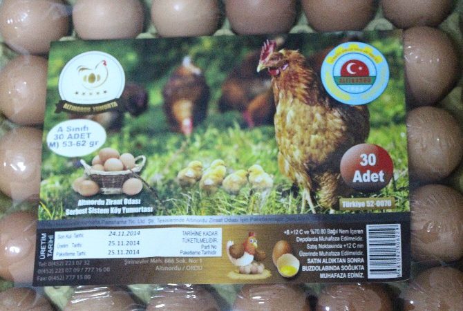 Altınordu Ziraat Odası Başkanı Uğur Cörüt, ’Serbest Sistem Köy Tavuğu’